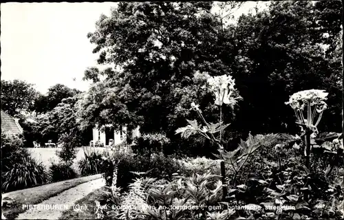 Ak Pieterburen Groningen Niederlande, toen Domie's toen toenhoes gem. botanische streektuin