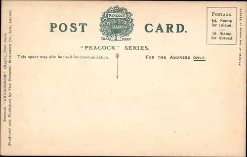 Ak Bideford Torridge Devon England, The Quay II.