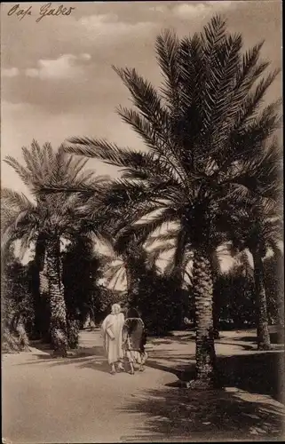 Ak Tunesien, Sous les palmiers
