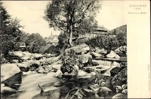 Ak Schierke Wernigerode im Harz, Partie a. d. Bode