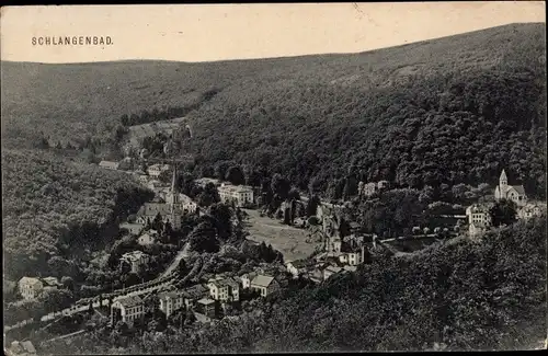 Ak Schlangenbad im Taunus Hessen, Panorama