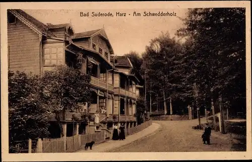 Ak Bad Suderode Quedlinburg im Harz, am Schwedderholz