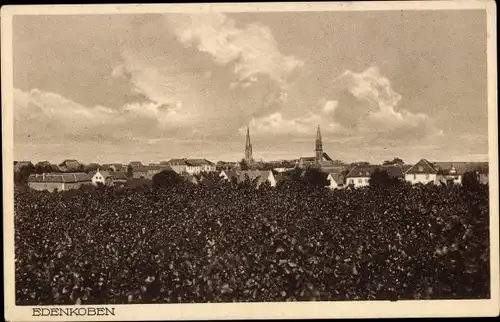 Ak Edenkoben an der Haardt Pfalz, Ortsansicht