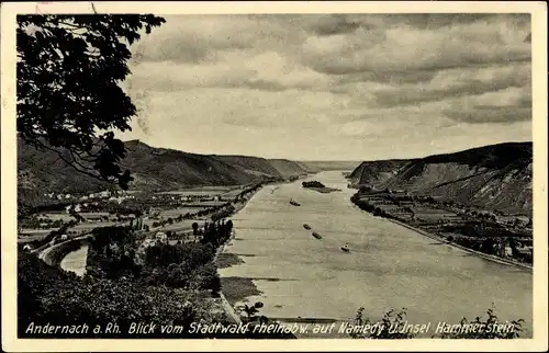Ak Andernach am Rhein, Blick vom Stadtwald rheinabwärts auf Namedy und Insel Hammerstein