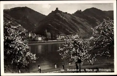 Ak Bornhofen am Rhein, Uferpartie zur Baumblüte, Hotel Marienberg