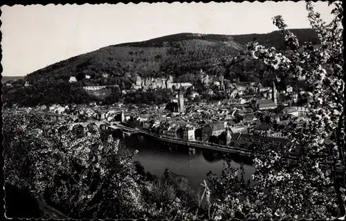 Ak Heidelberg am Neckar, Ortsansicht