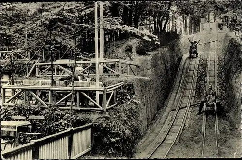 Ak Ibbenbüren in Westfalen, Sommerrodelbahn