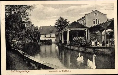 Ak Bad Lippspringe, Lippequelle und Trinkhalle, Schwäne