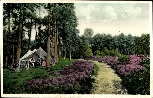 Ak Hollandsche Rading Utrecht Niederlande, Kamp Berkenhorst a d Zwaluwenberg