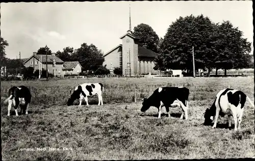 Ak Lemele Overijssel Niederlande, Ned. Herv. Kerk, Kuhweide