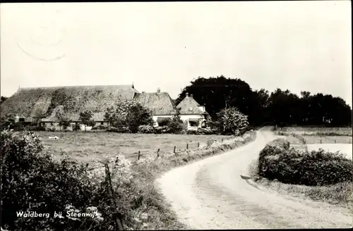 Ak Steenwijk Overijssel, Waldberg