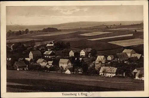 Ak Venusberg Drebach im Erzgebirge, Panorama