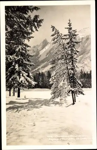 Ak Chamonix Mont Blanc Haute Savoie, Winteridyll