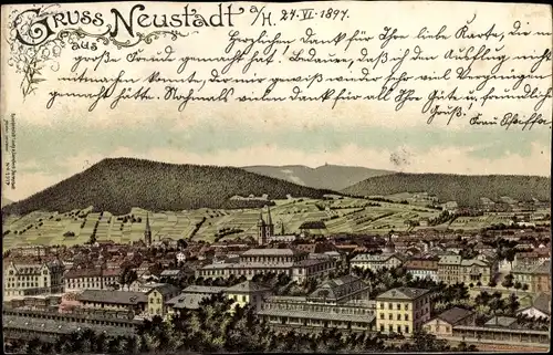 Litho Neustadt an der Weinstraße, Totalansicht