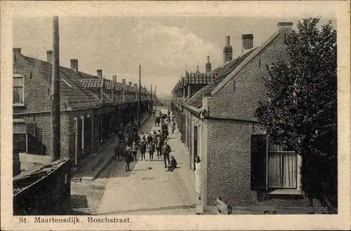 Ak Sint Maartensdijk Zeeland Niederlande, Boschstraat