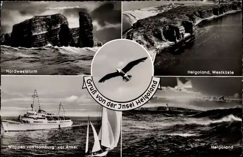 Ak Nordseeinsel Helgoland, Fliegeraufnahme, Westküste, Nordweststurm, Schiff Wappen von Hamburg