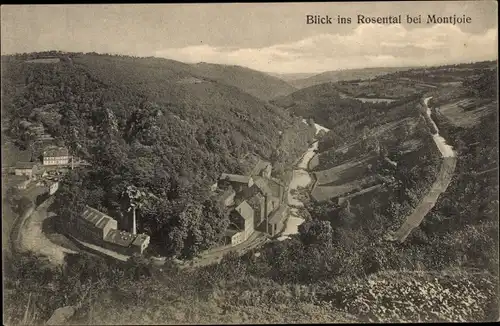 Ak Monschau Montjoie in der Eifel, Blick ins Rosental