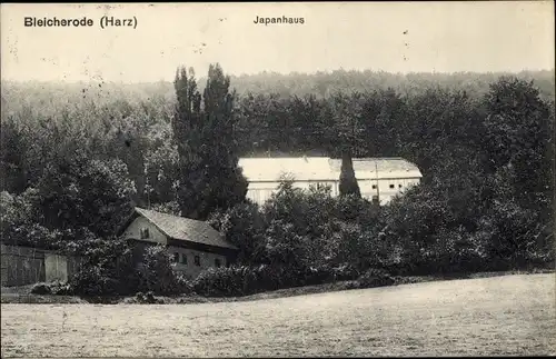 Ak Bleicherode im Harz, Japanhaus, Wald