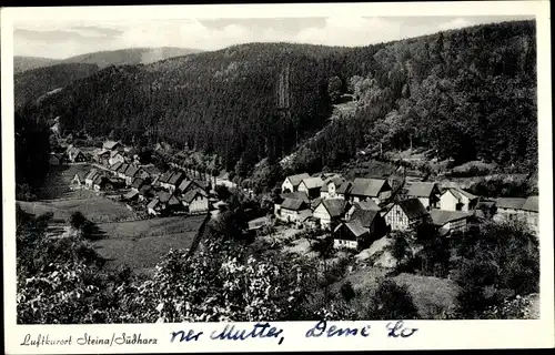 Ak Steina Bad Sachsa im Südharz, Gesamtansicht