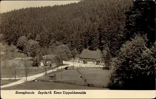 Ak Seyde Hermsdorf im Erzgebirge, Zwergbaude