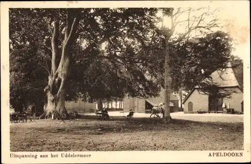 Ak Apeldoorn Gelderland, Uitspanning aan het Uddelermeer