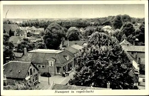 Ak Nunspeet Gelderland, Vogelvlucht