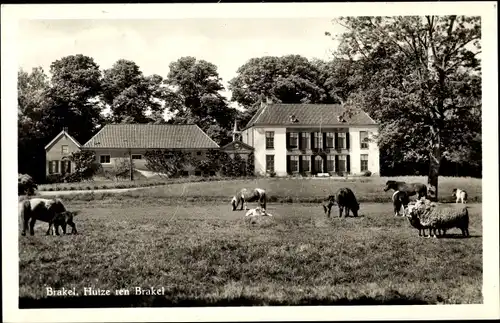 Ak Brakel Gelderland Niederlande, Huize ten Brakel