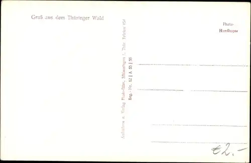 Ak Gruß aus dem Thüringer Wald, Rind auf der Weide