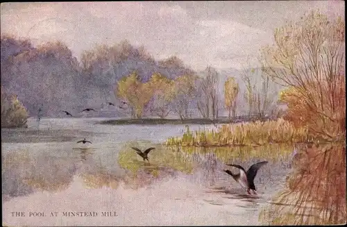 Künstler Ak Tyndale, The Pool at Minstead Mill, Enten