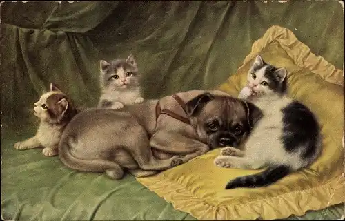 Künstler Ak Hund und drei kleine Katzen