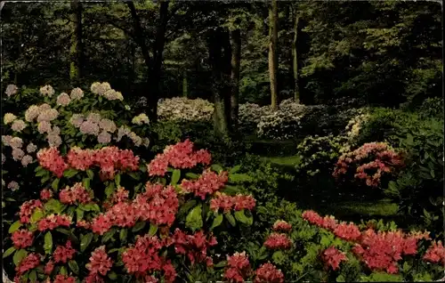 Künstler Ak Auras, Oskar, Sommerspracht, Parkanlage mit blühenden Sträuchern