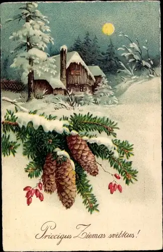 Ak Glückwunsch Weihnachten, Winterlandschaft mit Haus bei Nacht, Tannenzweig