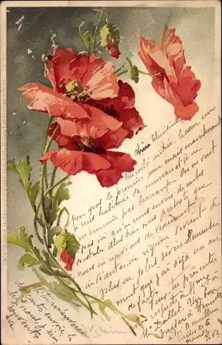 Künstler Litho Klein, Catharina, rote Blüten, Meissner & Buch 1056