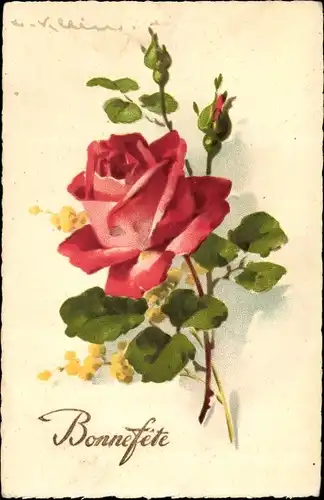 Künstler Litho Klein, Catharina, eine rote Rose, Mimose, Bonne fete