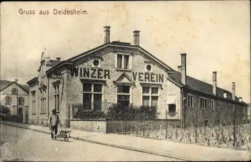 Ak Deidesheim in der Pfalz, Winzer Verein