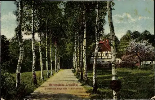 Ak Hohenstein Ernstthal in Sachsen, Forsthaus Haynholz, Birkenweg