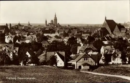 Ak Freiberg in Sachsen, Panorama