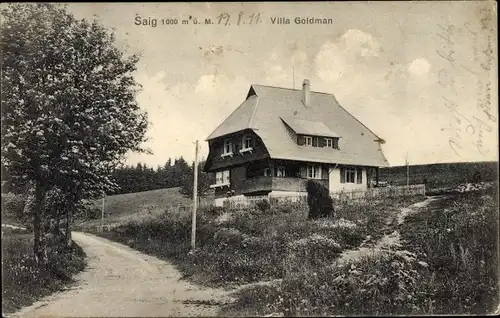 Ak Saig Lenzkirch im Schwarzwald, Villa Goldmann