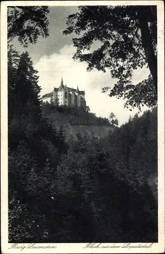 Ak Lauenstein Ludwigsstadt in Oberfranken, Burg Lauenstein, Blick aus dem Loquitztal