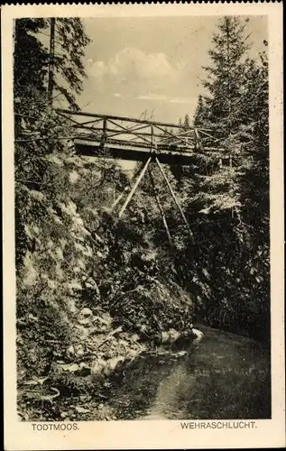 Ak Todtmoos im Schwarzwald, Wehraschlucht