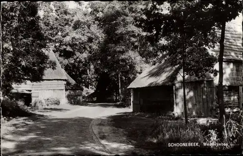 Ak Schoonebeek Drenthe Niederlande, Westersebos