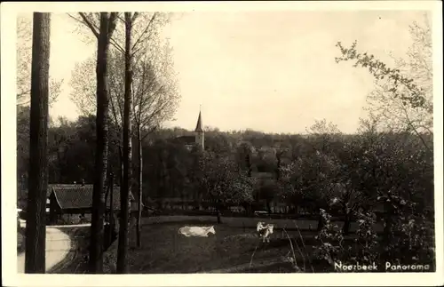 Ak Noorbeek Limburg Niederlande, Panorama