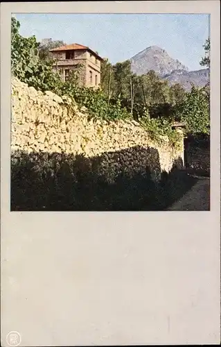 Ak Riva del Garda Trentino, In den Weinbergen