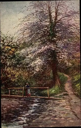 Künstler Ak Picturesque Devon, Blossom Time, Landschaft, Steg