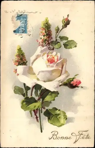 Künstler Litho Klein, Catharina, weiße Rose, Bonne Fete