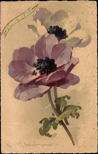 Künstler Litho Klein, Catharina, Blumen, Anemonen