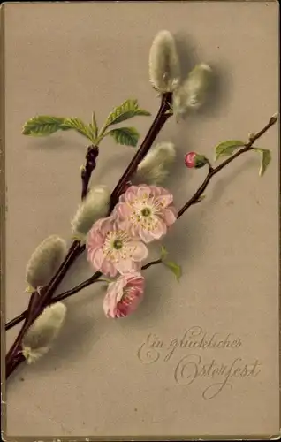 Ak Glückwunsch Ostern, Weidenkätzchen, Rosa Blüten