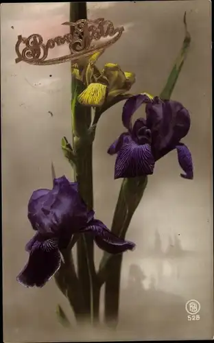 Ak Glückwunsch, Bonne Fete, Iris, Blumen