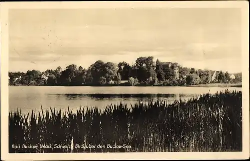 Ak Buckow in der Märkischen Schweiz, Blick über den Buckow-See