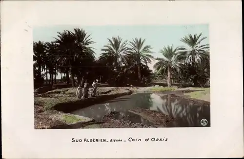 Ak Biskra Algerien, Süden, Coin d'Oasis, Gewässer, Palmen, Wasserträger